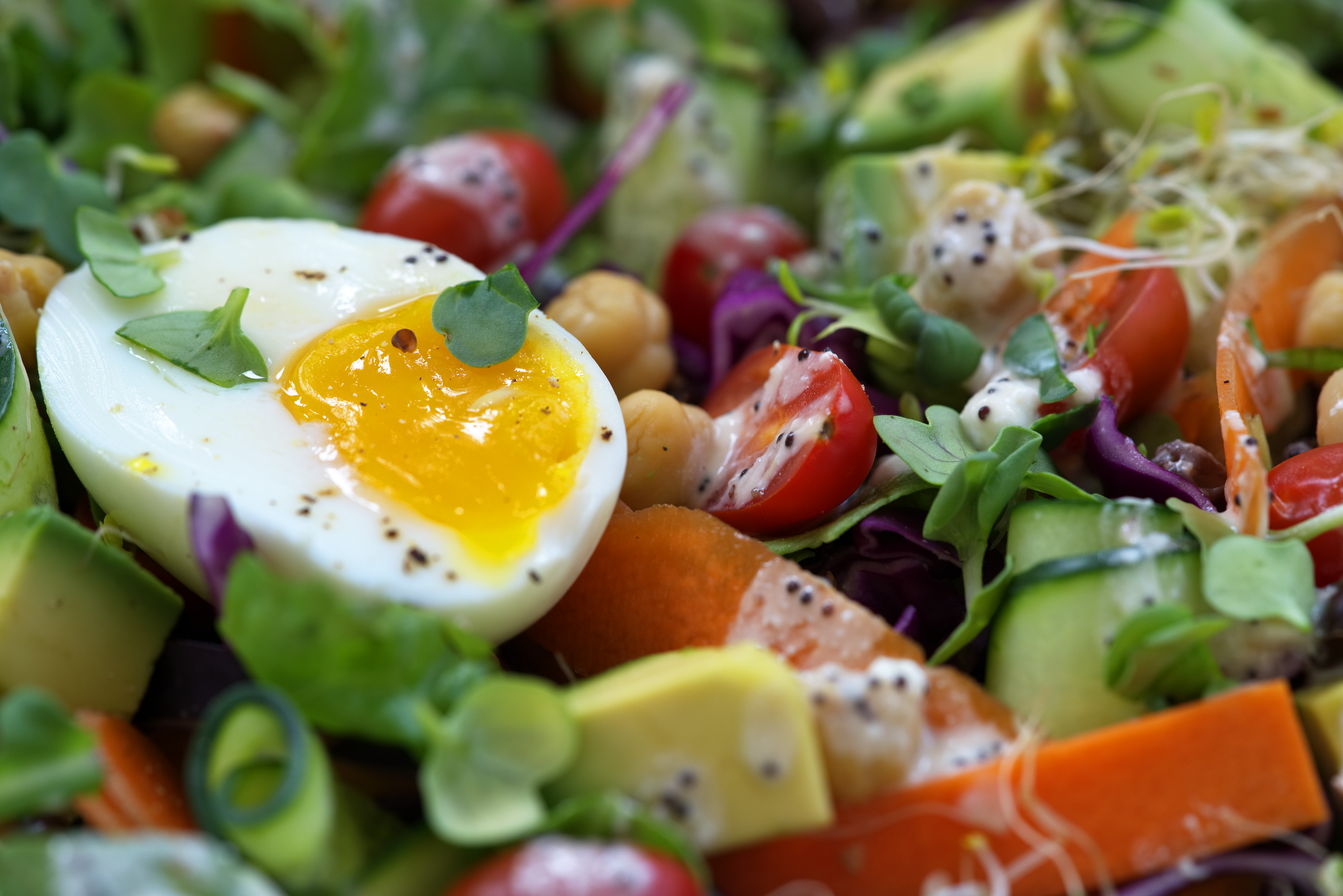 Tossed Green Salad with Poppy Seed Dressing Proportional Plate