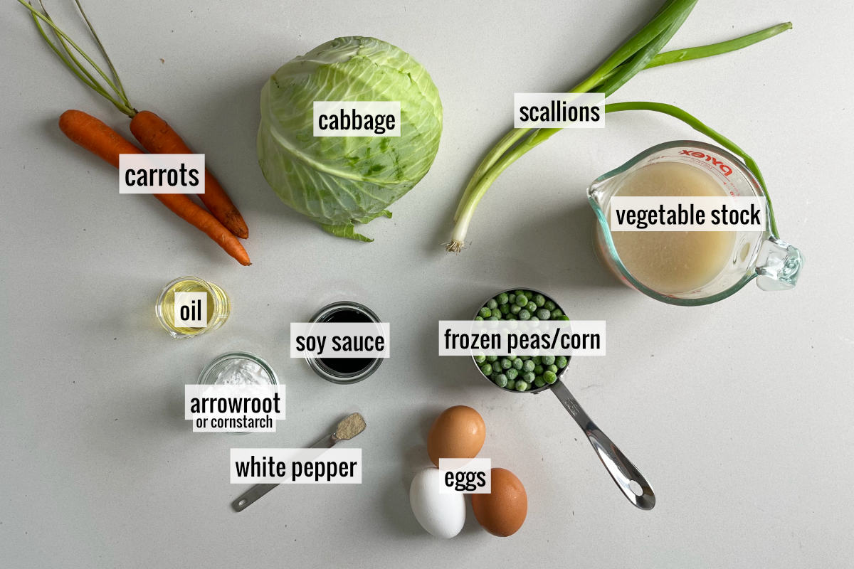 Cabbage and other soup ingredients on a countertop.