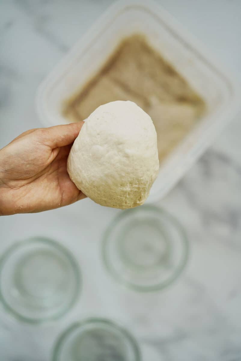 Ball of dough in a hand.