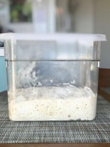 Cambro container filled with bread dough.