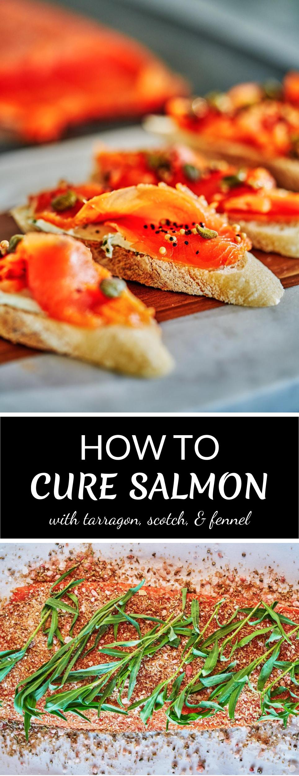 Tarragon & Fennel Scotch Cured Salmon - How to Cure Salmon | Proportional Plate