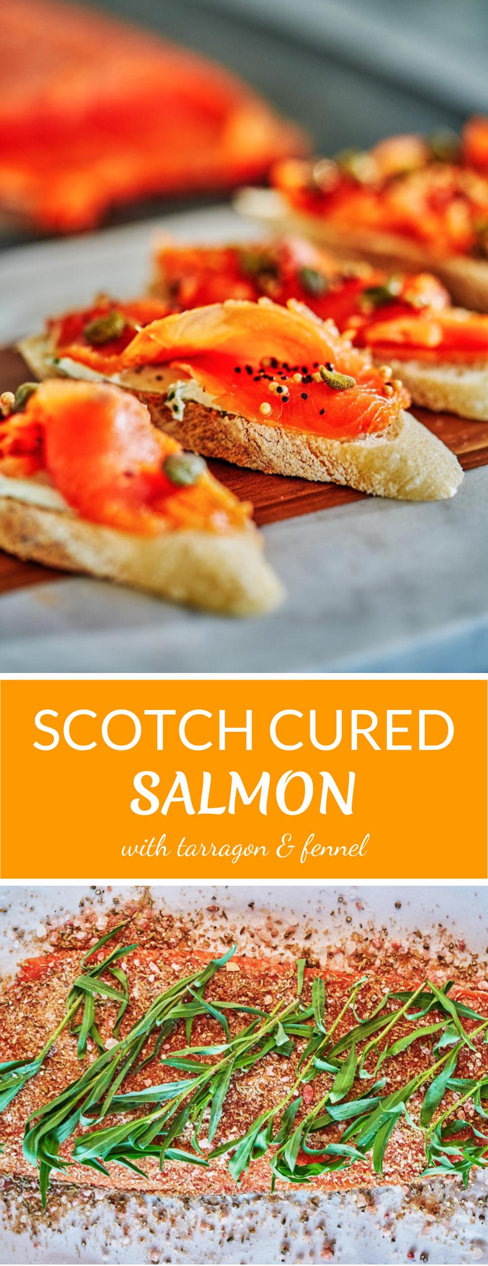 Tarragon & Fennel Scotch Cured Salmon - How to Cure Salmon | Proportional Plate