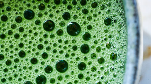 Traditional-Matcha-5-480x270.jpg
