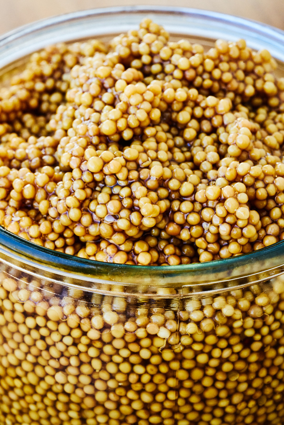 mustard seed mustard seed