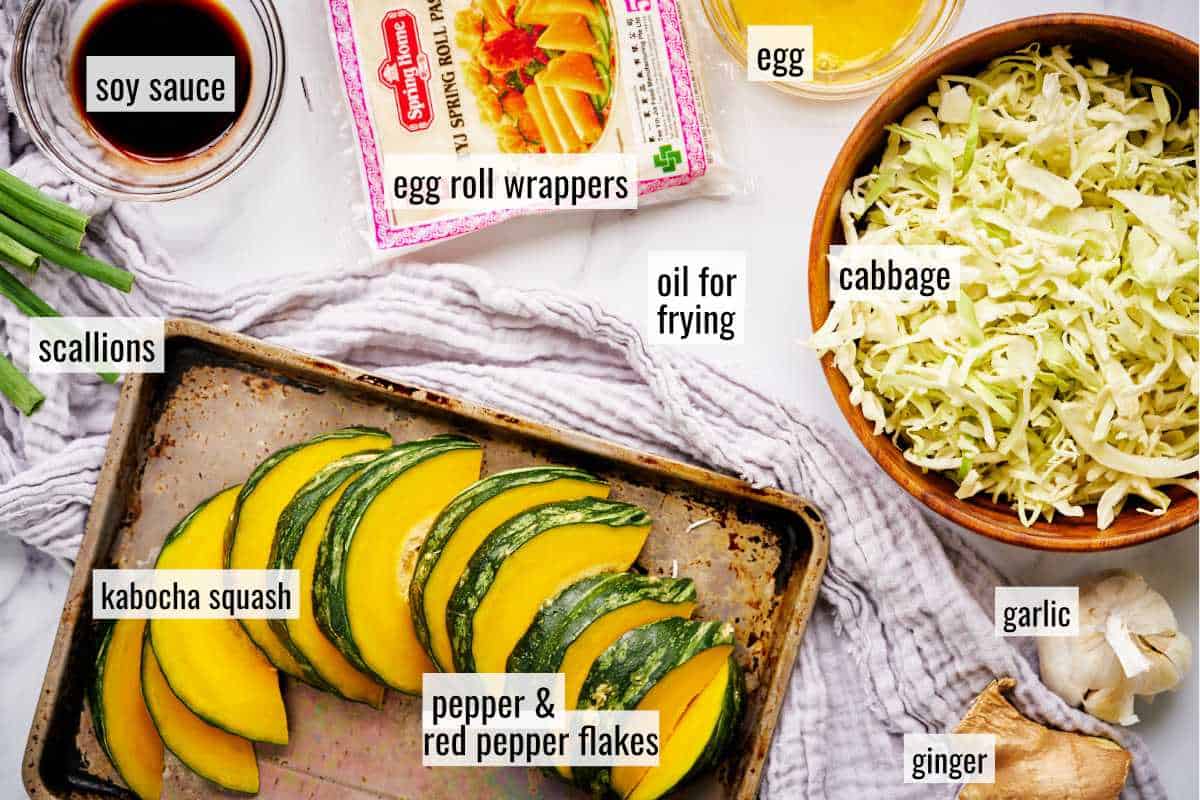 Ingredients to make squash egg rolls.