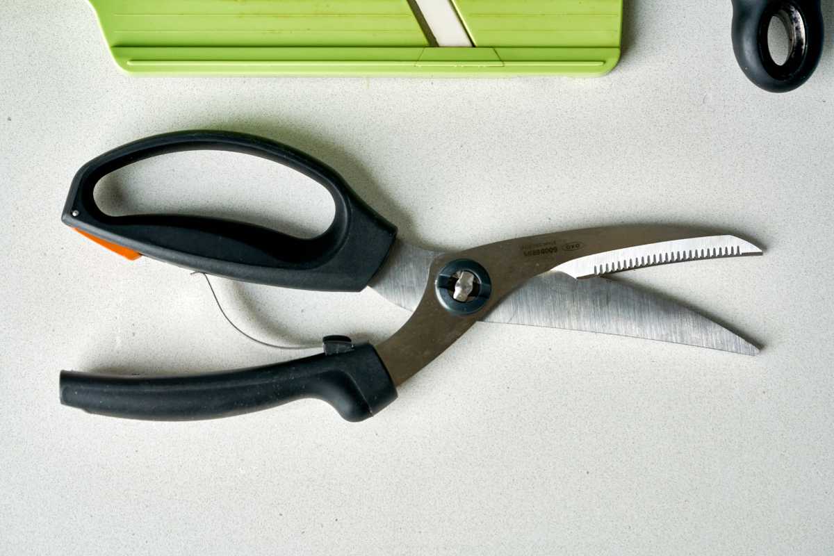 Black poultry shears on a countertop.