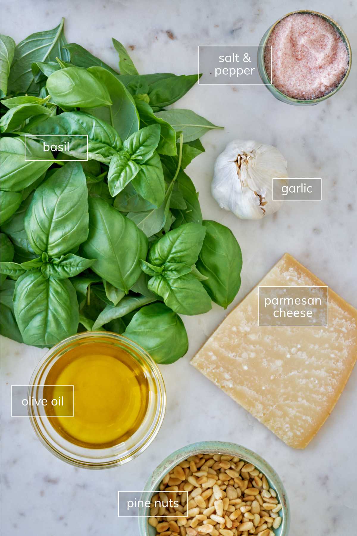 Ingredients for garlic basil pesto on a white countertop.