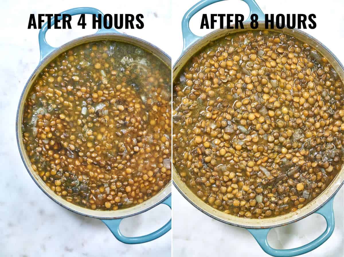 Consistency difference of lentils after four and eight hours.