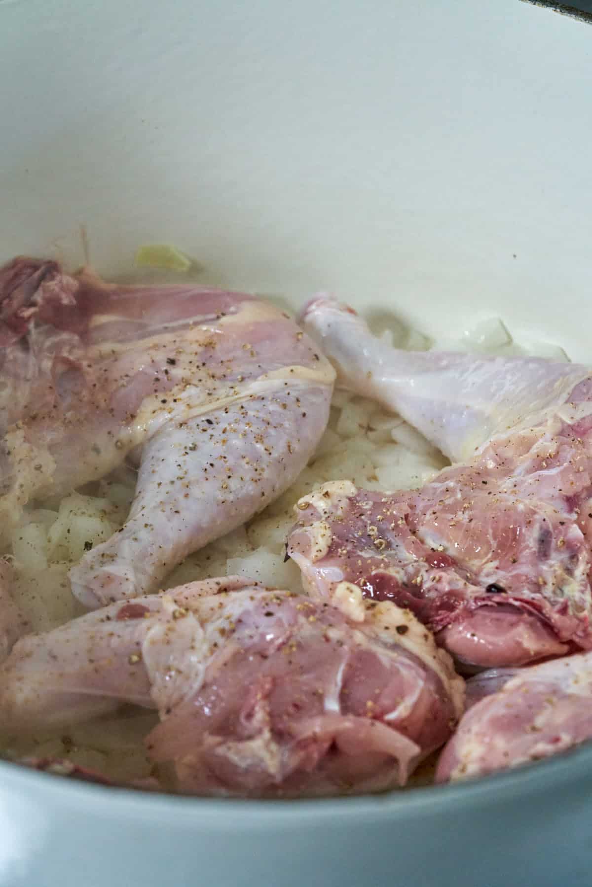 Raw chicken in a pot with onions.