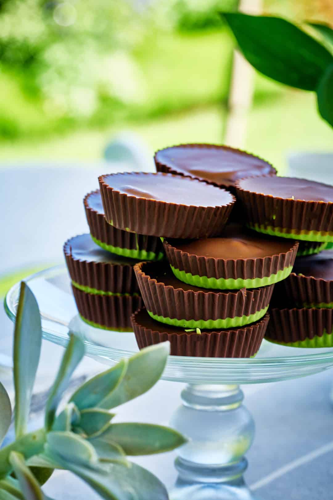 Peanut butter cups with green bottoms on a glass cake pedestal in a garden.