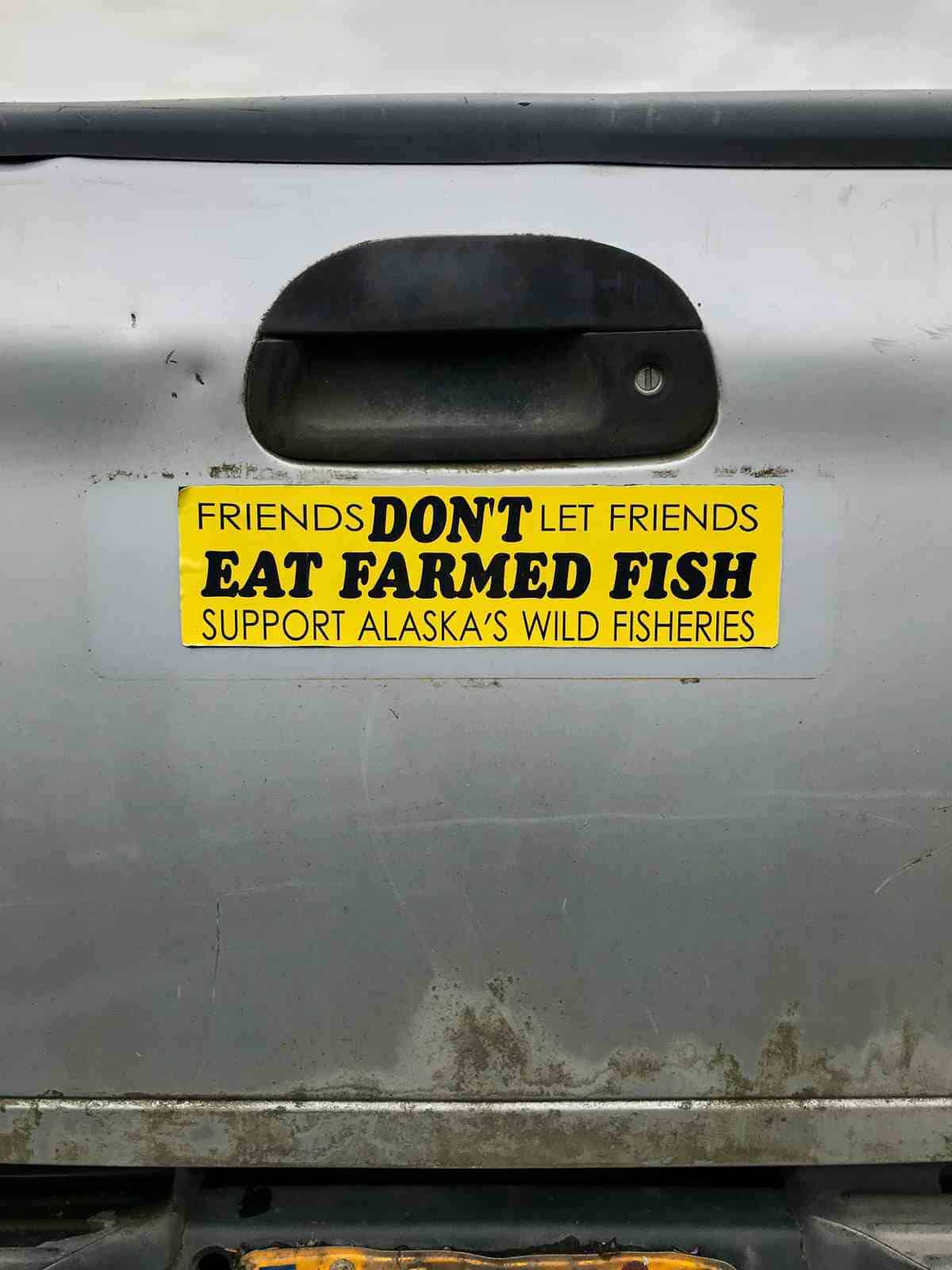 Bumper sticker on the back of a truck.