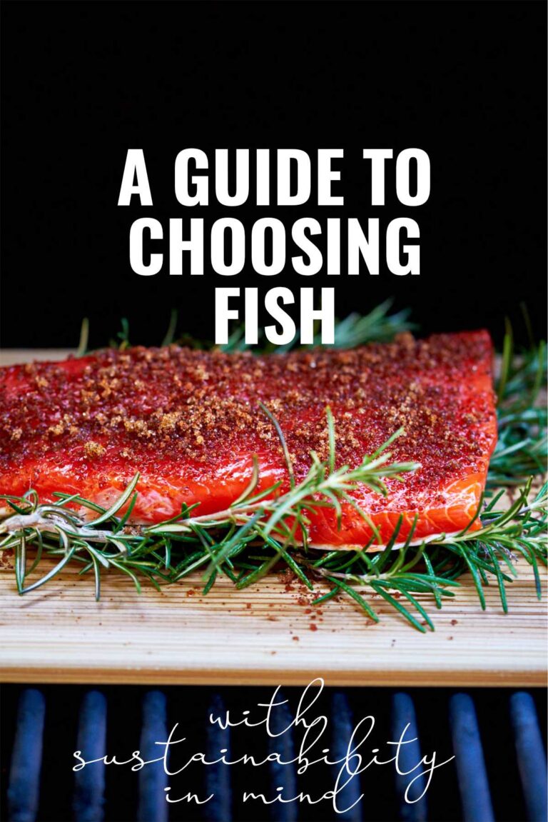 A Guide to Choosing Fish, with Sustainability in Mind
