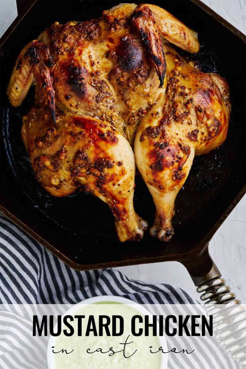 Spatchcock Cast Iron Mustard Chicken Proportional Plate