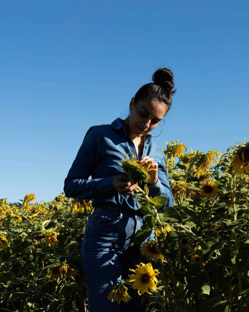 Woman in sunflower field.