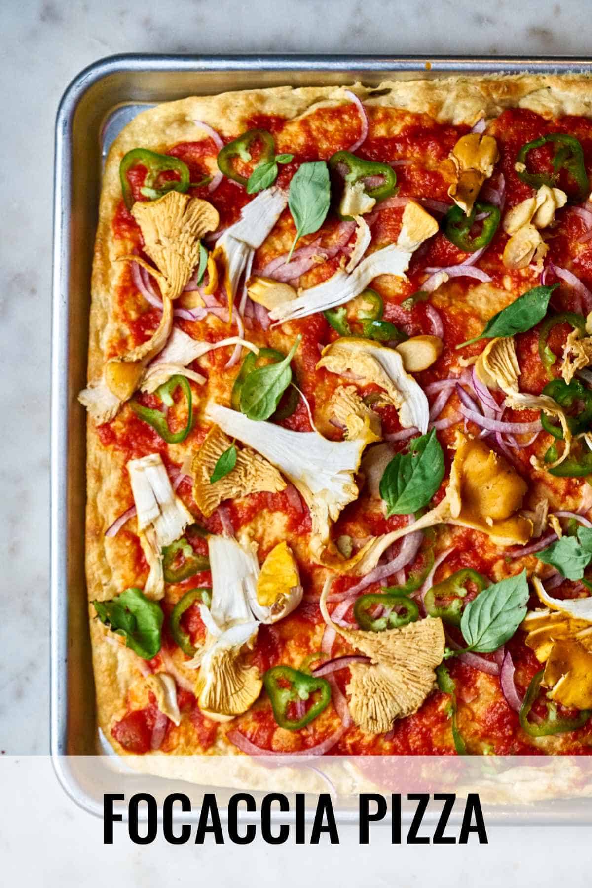 Focaccia Pizza NoKnead Recipe Proportional Plate