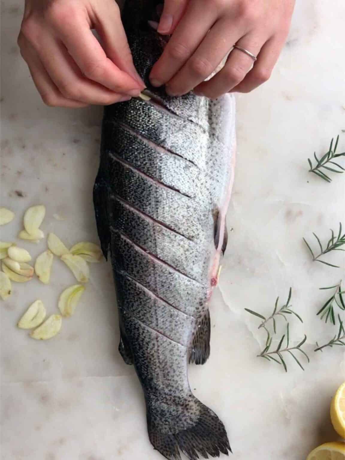 Rosemary Garlic Trout Proportional Plate
