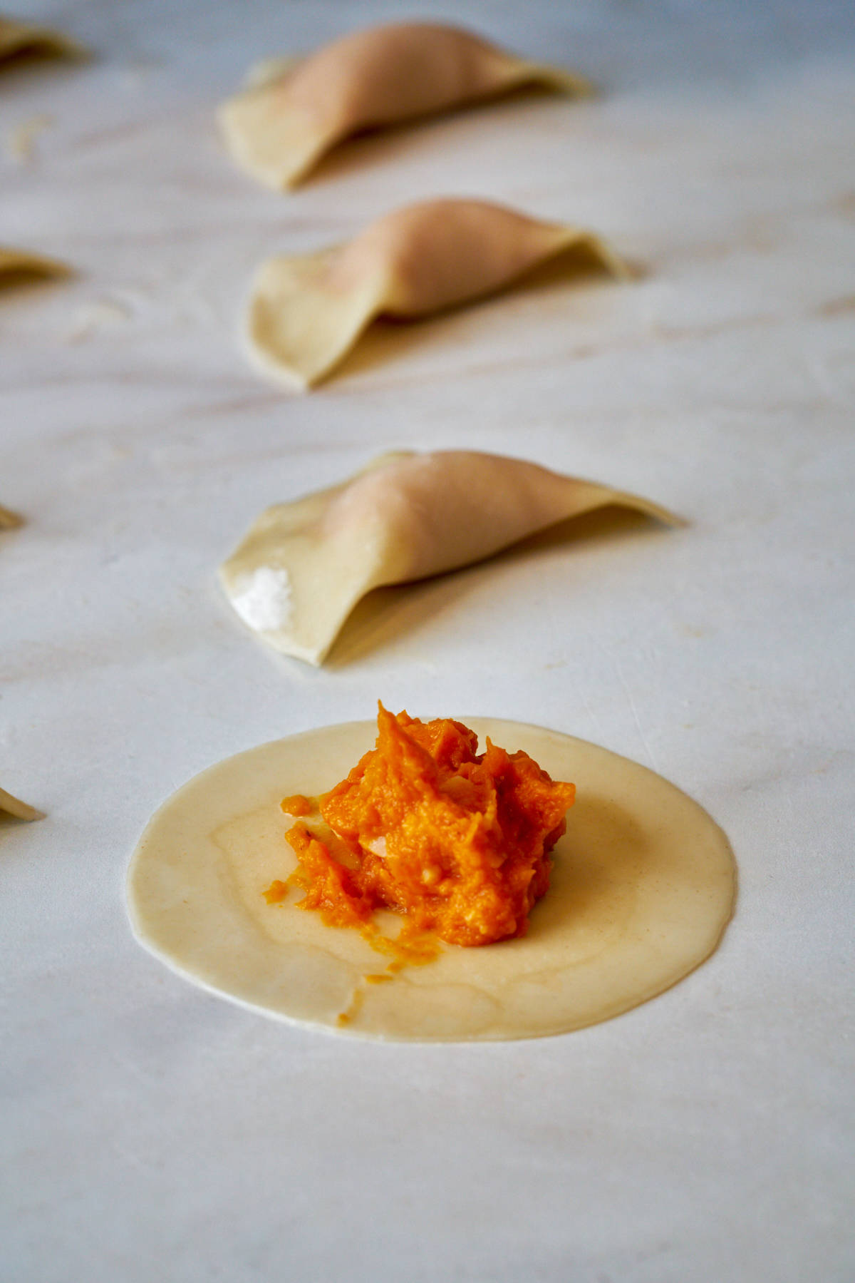 Ravioli filling on a gyoza wrapper.