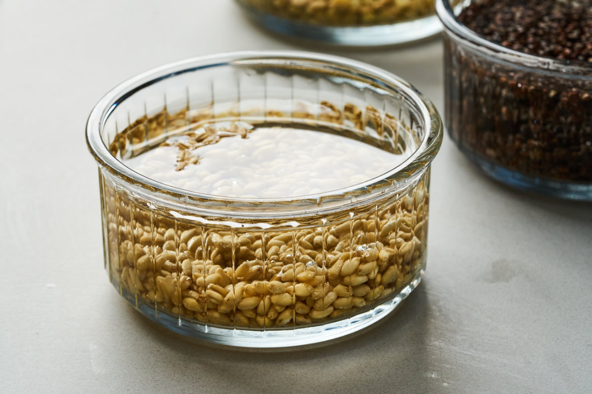 Wheat soaking in a glass bowl filled with water.