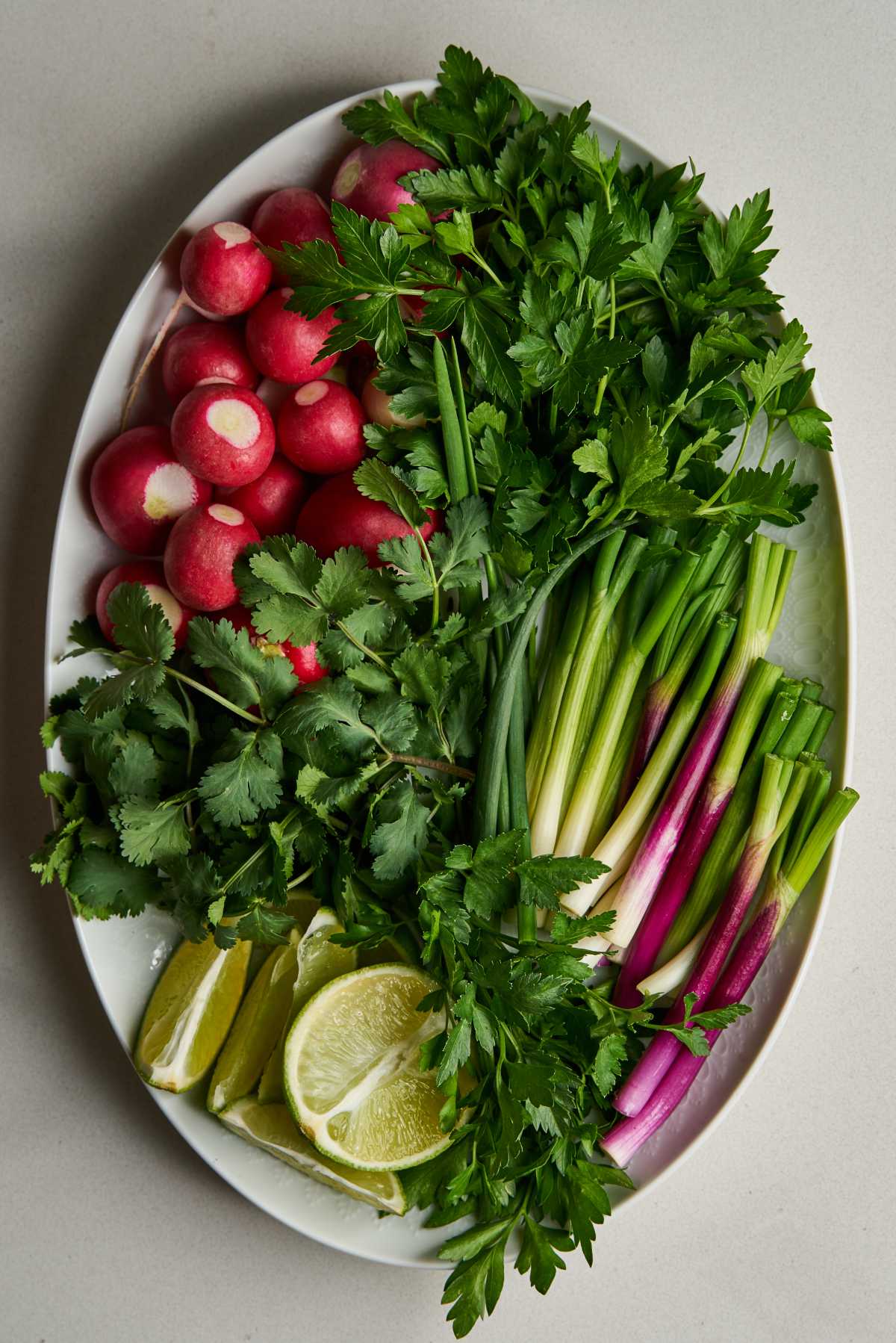 Top view of a plate filled with herbs, scallions, limes, and radishes.