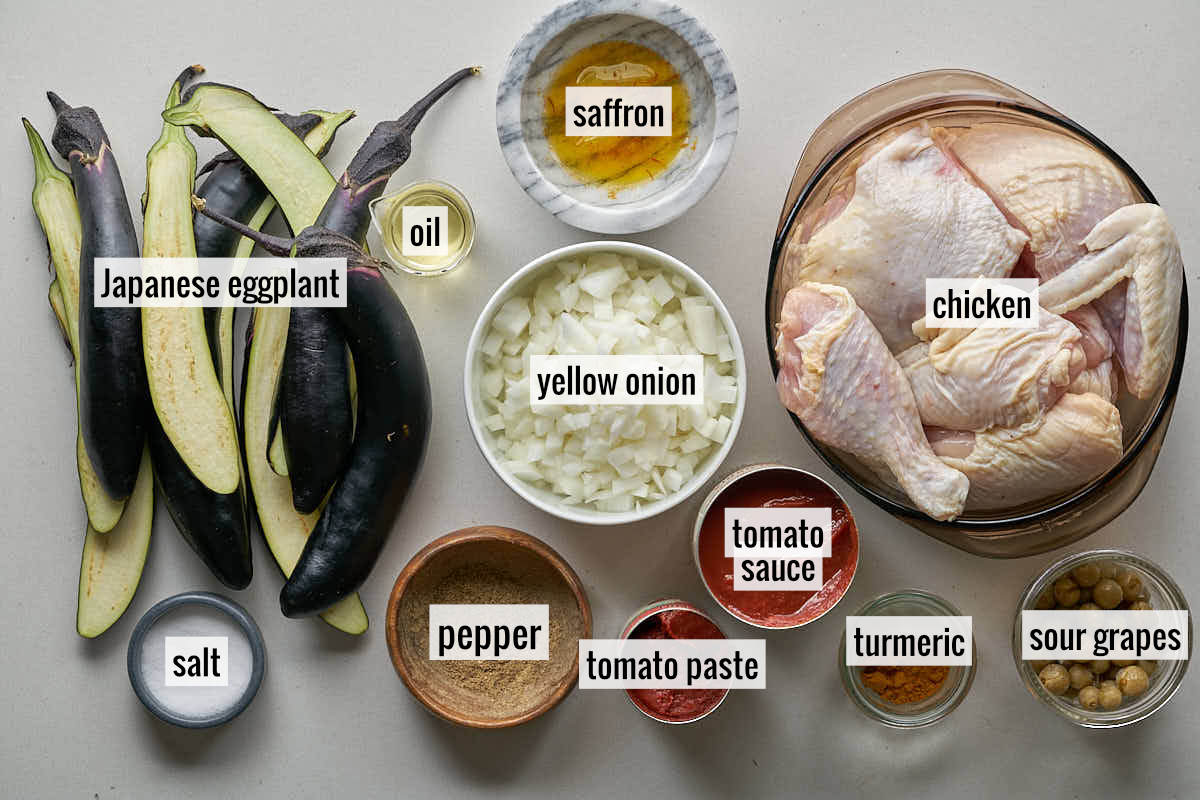 Top view of labeled ingredients on a white countertop including eggplant, chicken, and sour grapes.