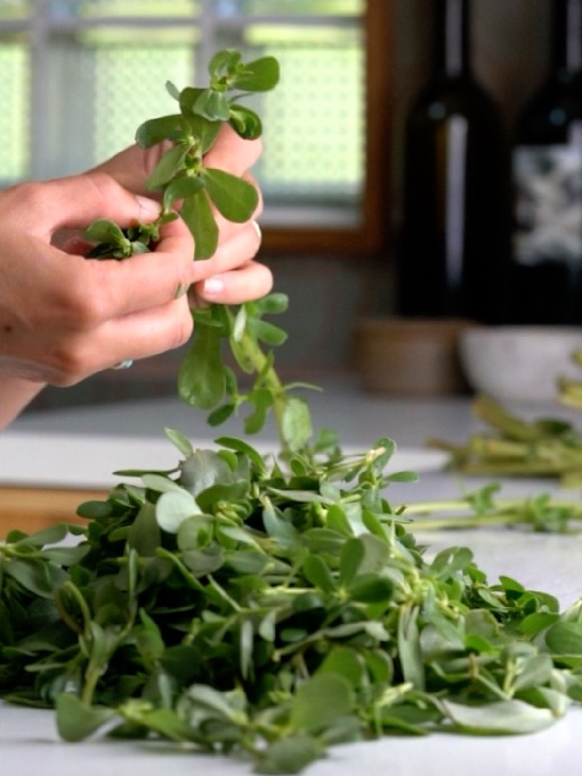 Hands trimming purslane in a kitchen.