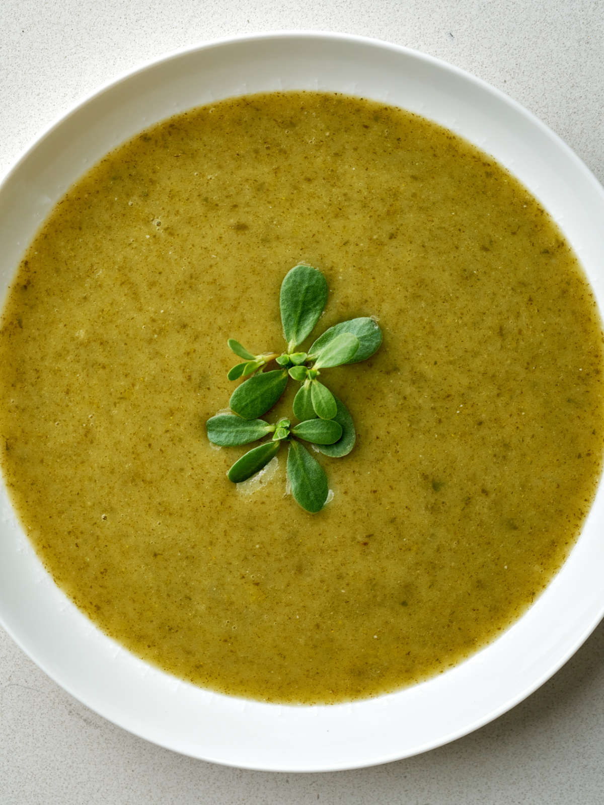 Green pureed soup with a sprig of purslane in the center.