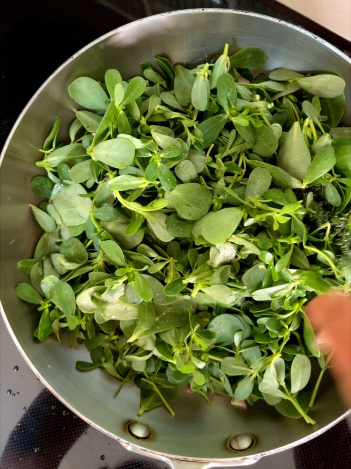 Sautéed Purslane - Proportional Plate