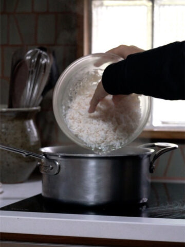 Zerek Rice Zereshk Polo - Persian Barberry Rice - Proportional Plate