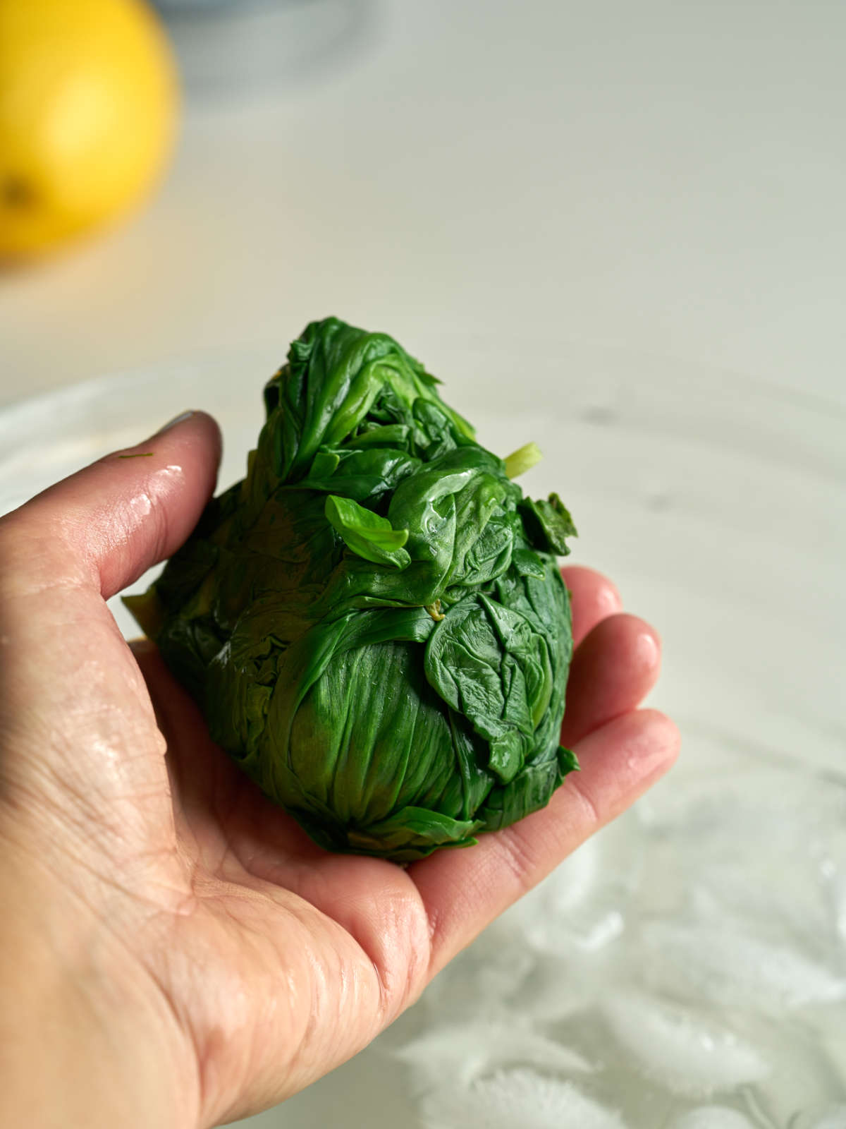 Hand holding a compacted ball of green ramps