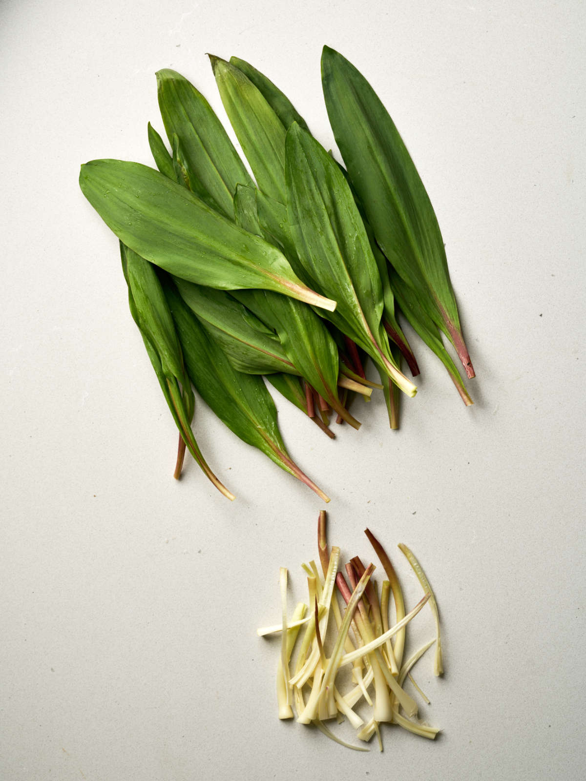 Green ramps with the leaves and the bulbs separated