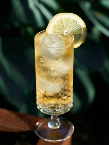 Sharbat Rasmlar Persian Sharbat with Syrup (2 Ingredients) - Proportional Plate