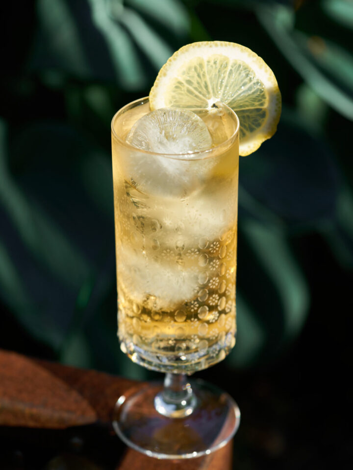 Sharbat Rasmlar Persian Sharbat with Syrup (2 Ingredients) - Proportional Plate