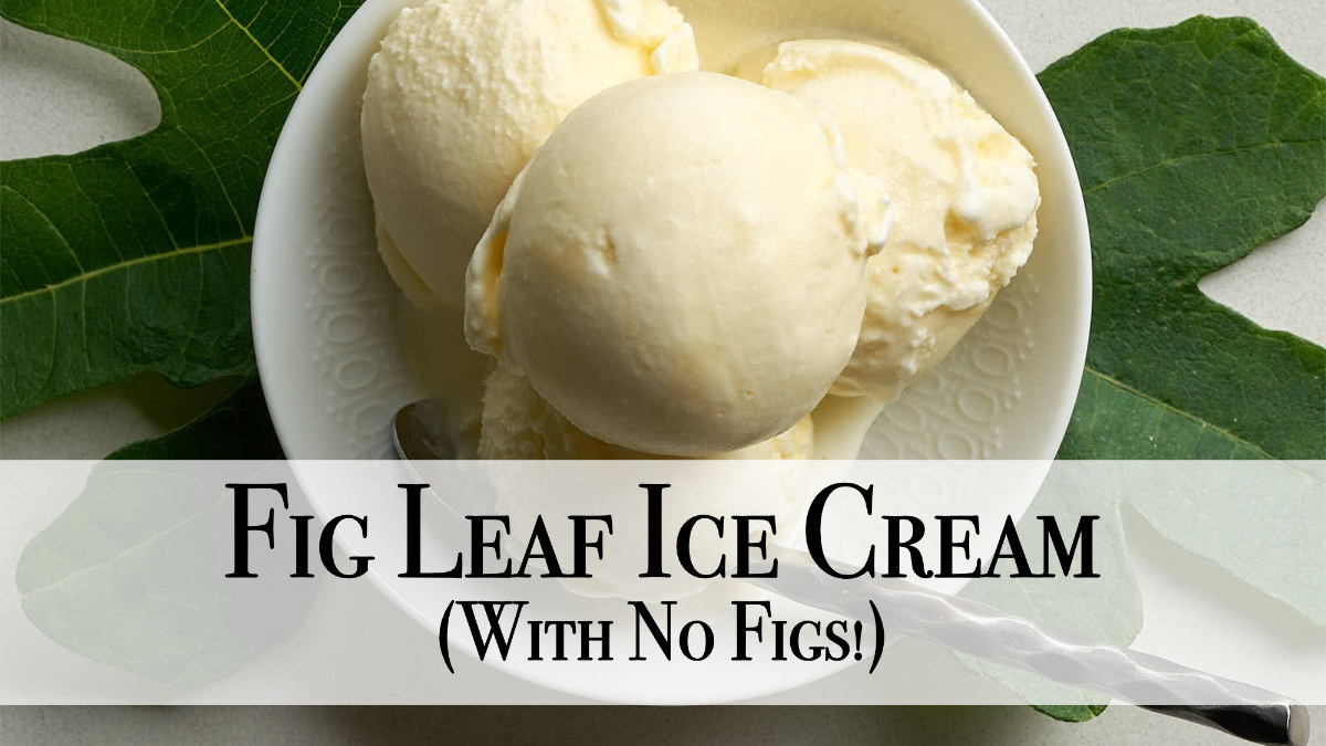 three scoops of a pale yellow ice cream in a white bowl. A silver spoon rests in the bowl next to the scoops. Two green fig leaves are visible on the gray surface next to the bowl. In the bottom half of the image, there is a white banner with the black text "Fig Leaf Ice Cream" on the top line and "(With No Figs!)" on the bottom line.