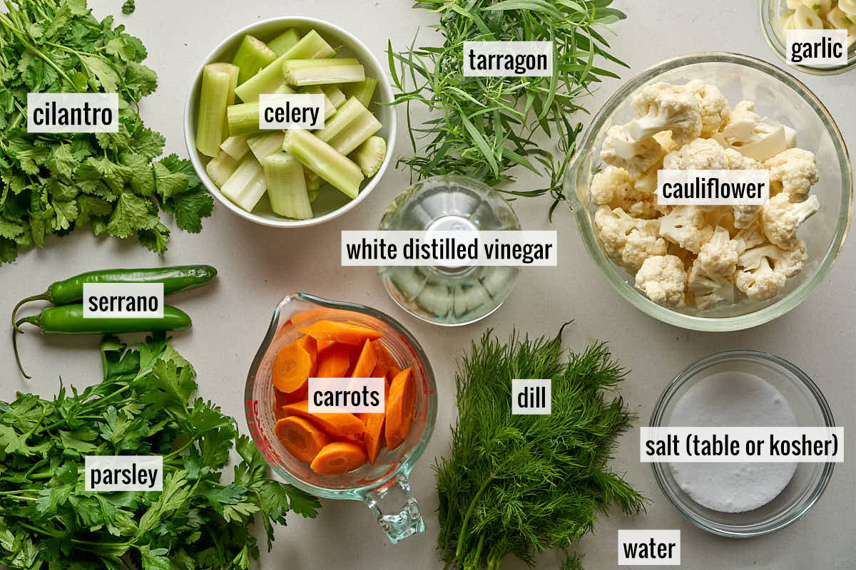 An assortment of fresh ingredients laid out and labeled, including cilantro, celery, tarragon, cauliflower, garlic, serrano peppers, parsley, carrots, dill, white distilled vinegar, salt, and water.