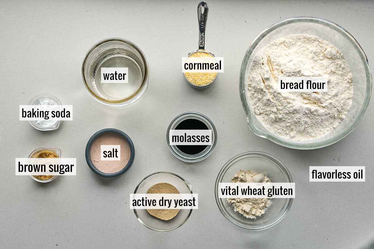 A flat-lay view of labeled ingredients on a grey countertop, including bowls of bread flour, water, molasses, active dry yeast, vital wheat gluten, salt, brown sugar, baking soda, and a measuring cup of cornmeal.