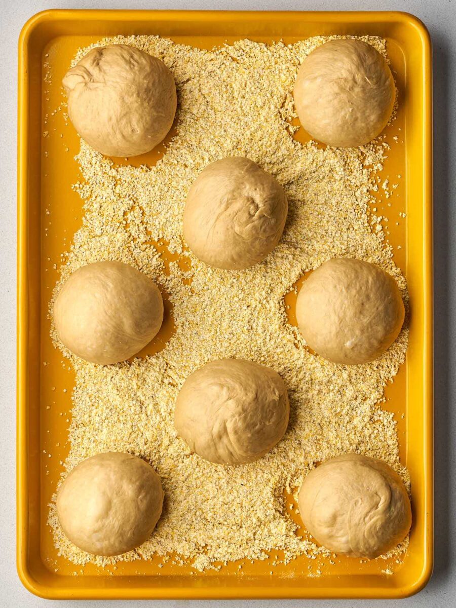 Eight smooth, round dough balls are spaced out on a yellow baking sheet coated in coarse yellow cornmeal.