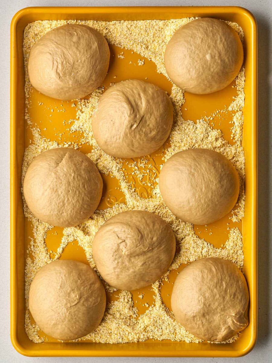 Eight smooth, round dough balls are spaced out on a yellow baking sheet coated in coarse yellow cornmeal, slightly more risen than the previous photo.