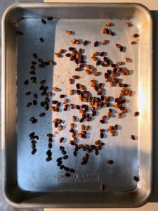Watermelon seeds scattered across a metal baking sheet in a single layer, lit by sunlight.